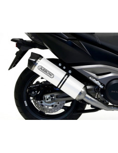 Silencieux Race-Tech Aluminium  avec embout en carbone et collecteur catalysé homologué 2