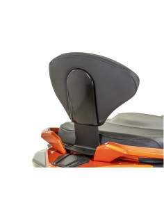 DOSSERET KYMCO by SHAD...